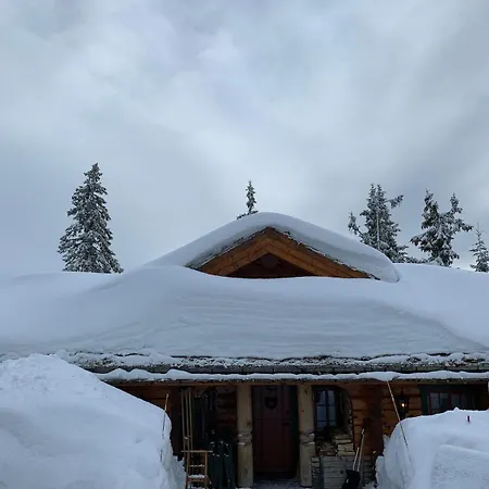 Timber Dom wakacyjny Sjusjøen