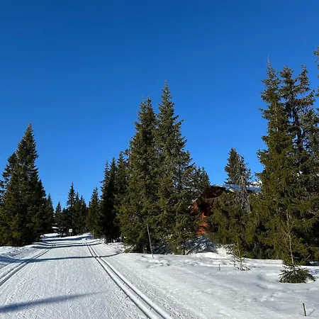 בית נופש Timber Sjusjøen